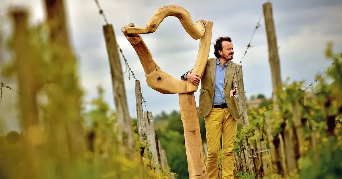 Henri Parent dans les vignes