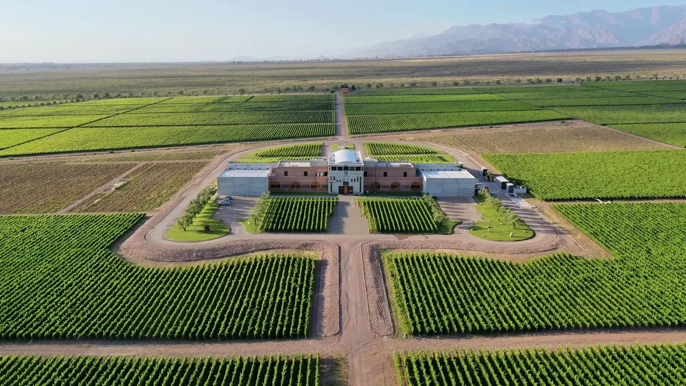 Vue aérienne de Bodega Monteviejo et de ses vignes