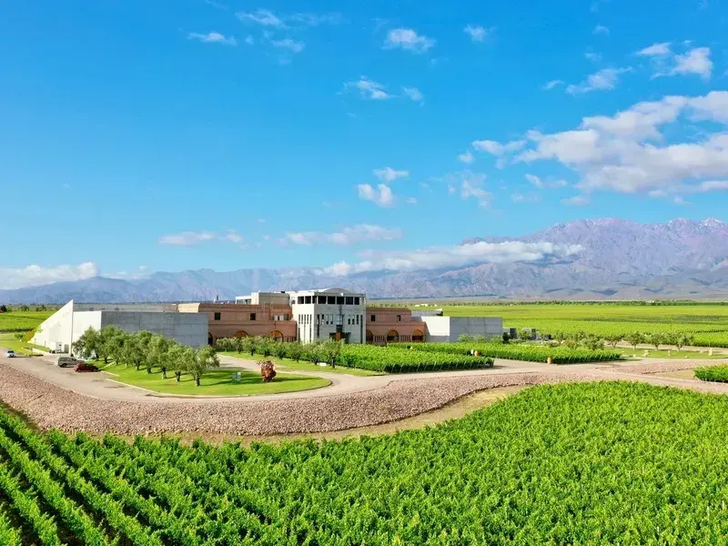 Bodega Monteviejo, Vallée de l'Uco