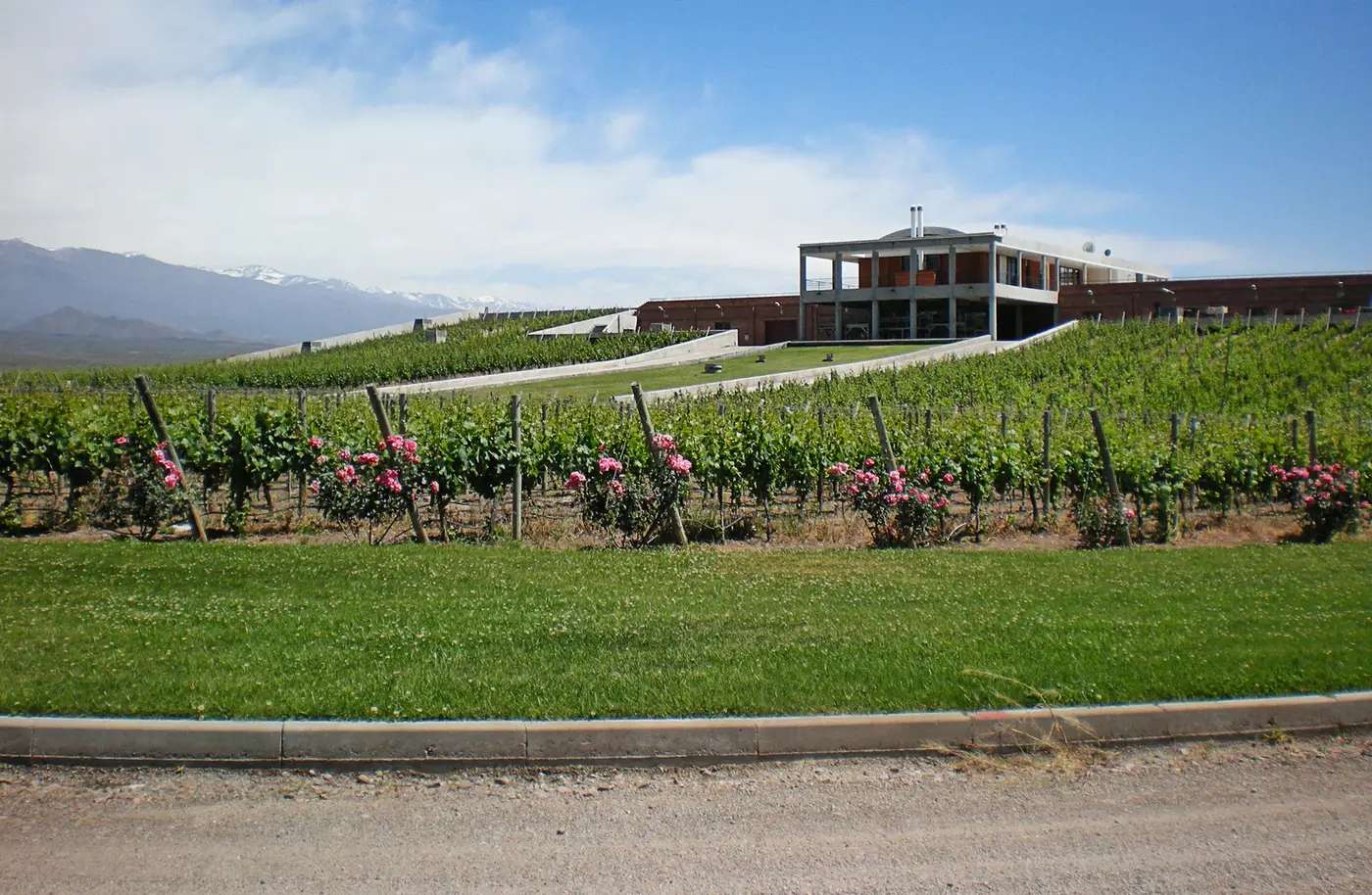Bodega Monteviejo au pied des Andes